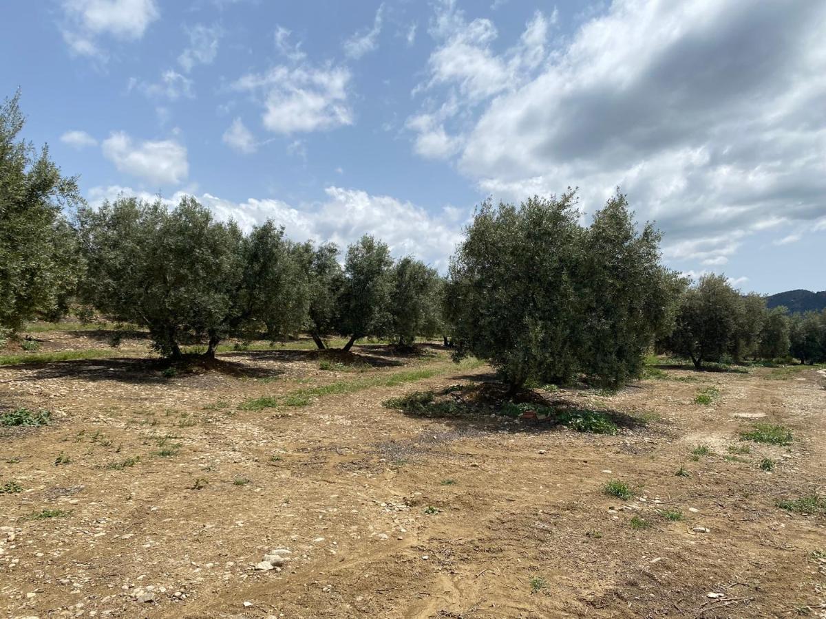 Cuartos Y Desayunos Hacienda Los Olivos Álora Zewnętrze zdjęcie
