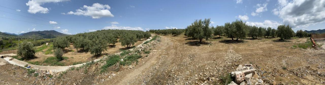 Cuartos Y Desayunos Hacienda Los Olivos Álora Zewnętrze zdjęcie